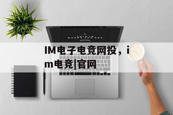 IM电子电竞网投，im电竞|官网